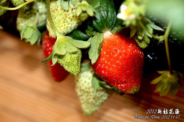 20250512-3ocbg