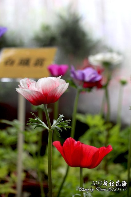20250512-6l3fs