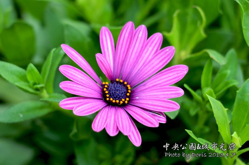 20250511-gzeub