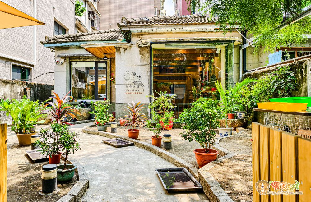 TG龜伴│高雄療癒系小店!結合陸龜互動與輕食簡餐,在80年日式老宅中,感受溫馨又放鬆的自然氛圍 - 第4張圖