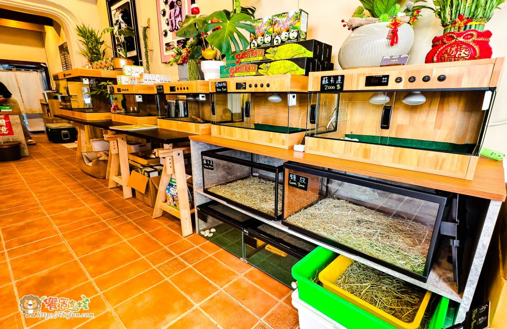 TG龜伴│高雄療癒系小店!結合陸龜互動與輕食簡餐,在80年日式老宅中,感受溫馨又放鬆的自然氛圍 - 第16張圖