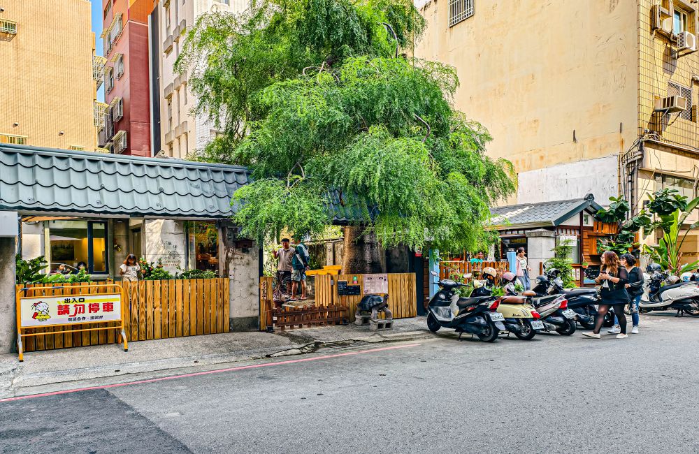 TG龜伴│高雄療癒系小店!結合陸龜互動與輕食簡餐,在80年日式老宅中,感受溫馨又放鬆的自然氛圍 - 第2張圖