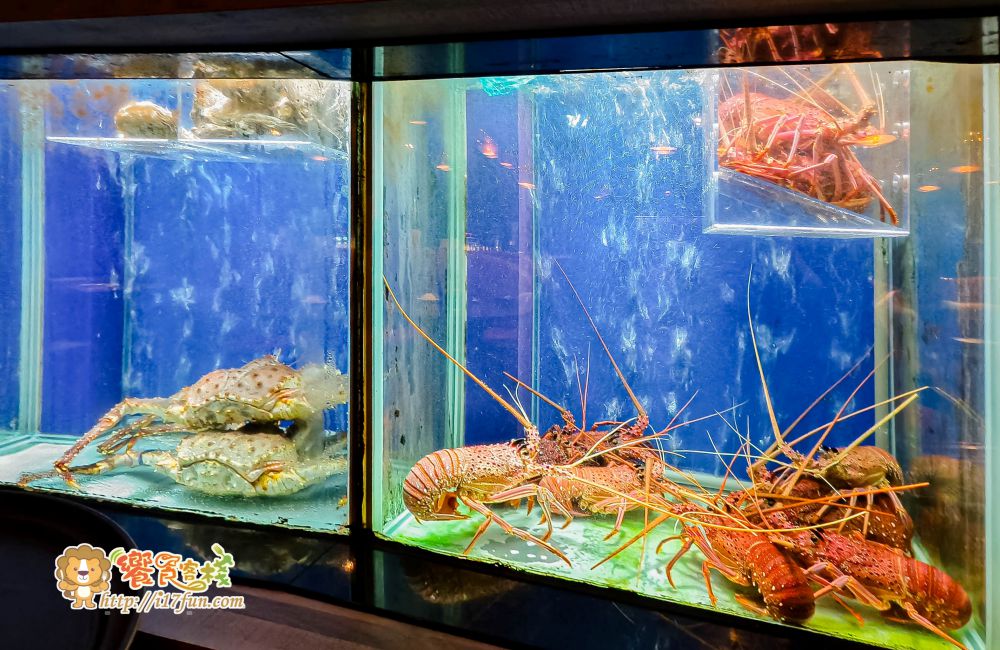 銅花精緻涮涮鍋│高雄頂級火鍋推薦！活體海鮮、日本A5和牛加專人桌邊服務，從開鍋到雜炊都是尊榮享受